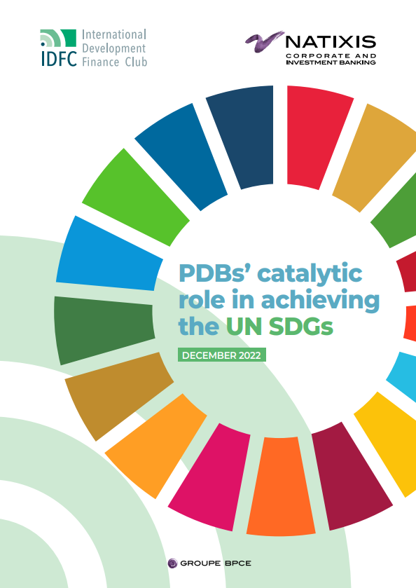 PDBs' catalytic role in achieving the UN SDGs