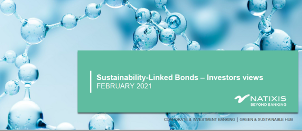 Investors' views on Sustainability-Linked Bonds