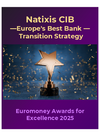 Europe's Best Bank Transition Strategy, Euromoney Awards for Excellence 2025
