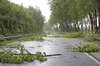 stormy weather with a piece of tree fallen on the road