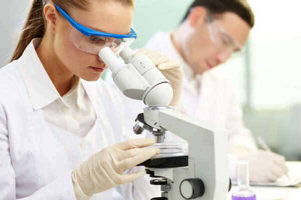 scientists make a microscope analysis