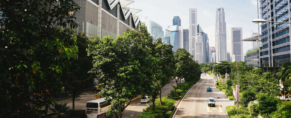 Town with buildings, trees and road
