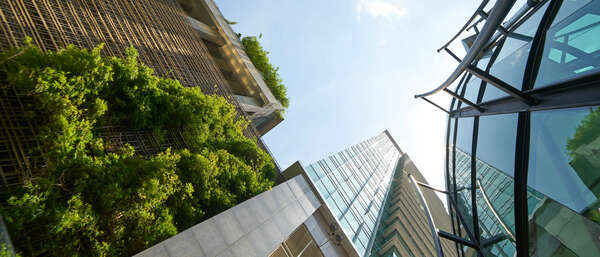 Buildings with sky and tree