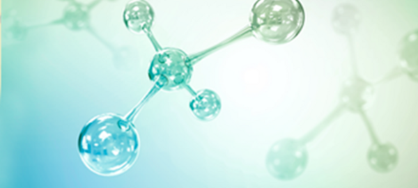 Green & Sustainable Assets Conference 2019 