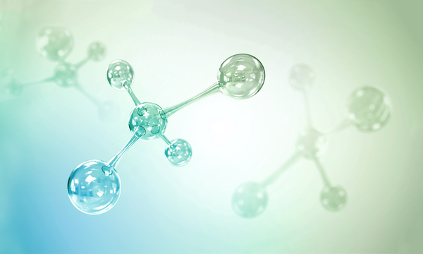 Insurance Forum conference