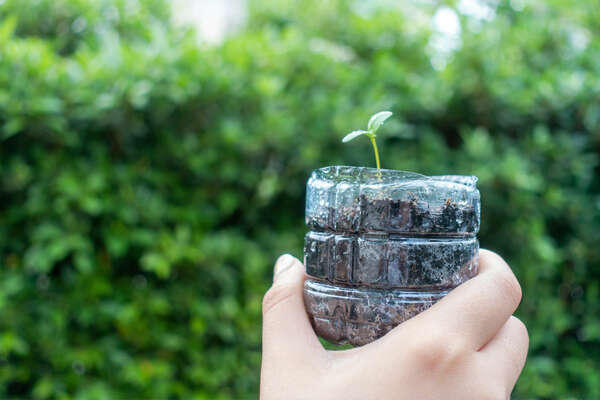 plastic bottle recycled into plant pot