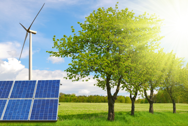 wind turbine, photovoltaic, on a landscape with a tree