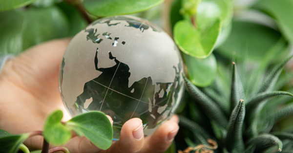 Sustainability-linked bonds – a new solution to support responsible finance