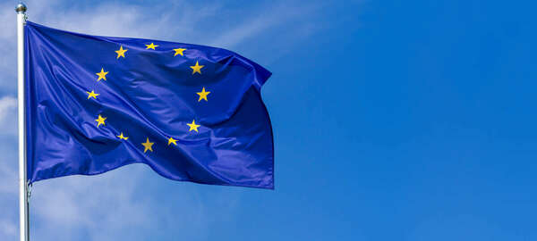 Make SURE, The European instrument for temporary Support to mitigate Unemployment Risks in an Emergency