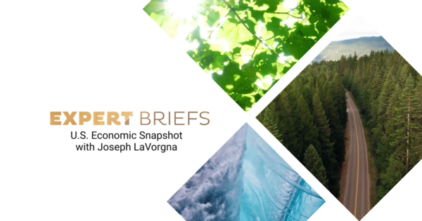 Natixis Experts Briefs series 