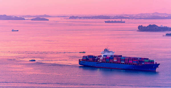 A new innovative digital solution designed to track import and export documentary!