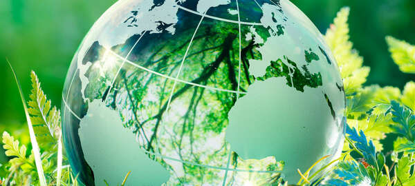 Groupe Rocher signs its first sustainability-linked loan with Natixis CIB 