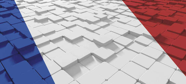 French public sector defies challenging market conditions