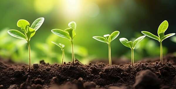 From legislation to consolidation: navigating the future of green finance