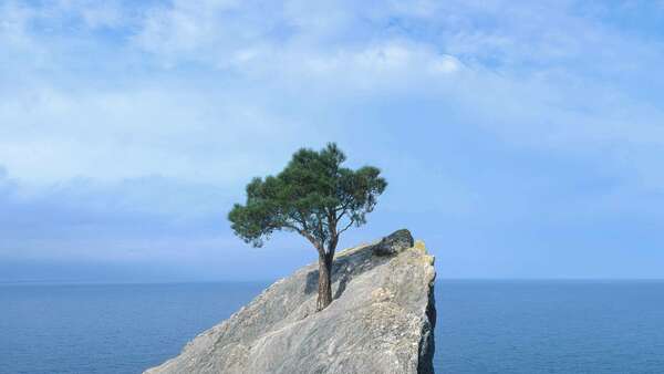 Insights from IPEM: Forging Confidence