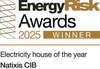 Electricity house of the year,Energy Risk Awards 2025
