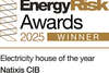ENERGY RISK AWARDS 2025 : Electricity  House of the year