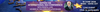 Natixis CIB International SSA Conference with Philip R. Lane, member of the ECR'S executive board - 19th june 2026 live event, click to participate (new tab)