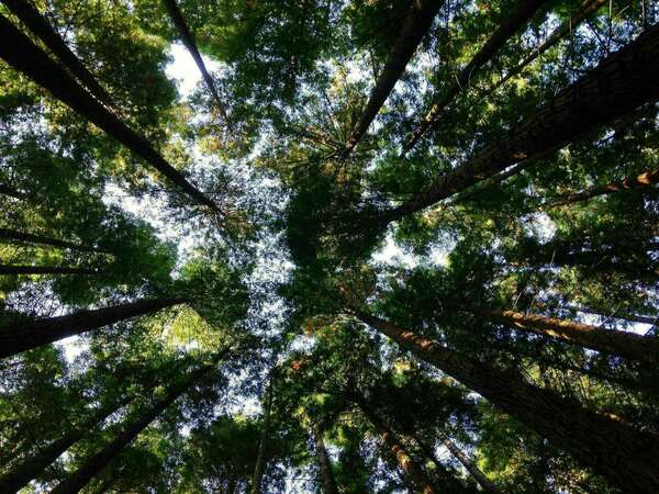 ESG Investments in Mining 