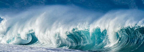 Savor the Excitement of the Ever-Changing M&A Tide