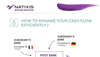 Infographie sur comment gérer sa trésorerie version anglaise